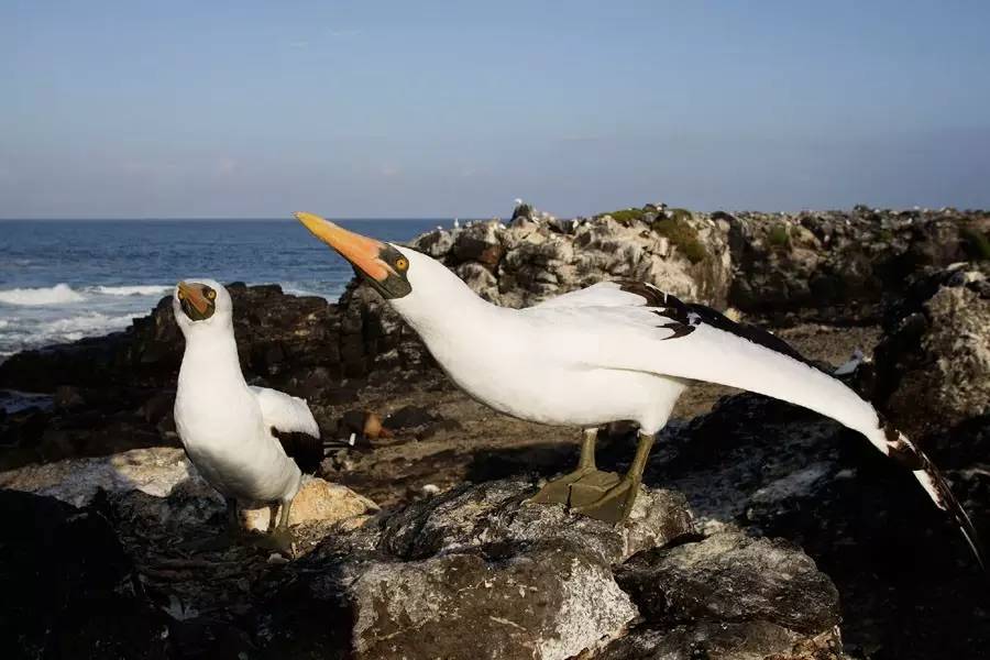 对中国免签或落地签的海岛,最新出国旅游的海岛免签