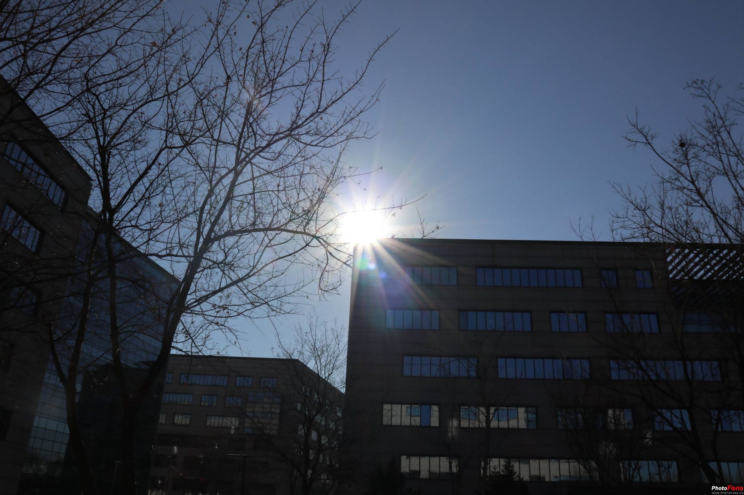 无反大变焦18-150mmf/3.5-6.3镜头评测