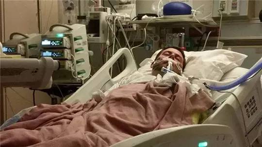 狗狗洗澡没吹干生病了怎么办,狗狗生病了舔自己是什么原因