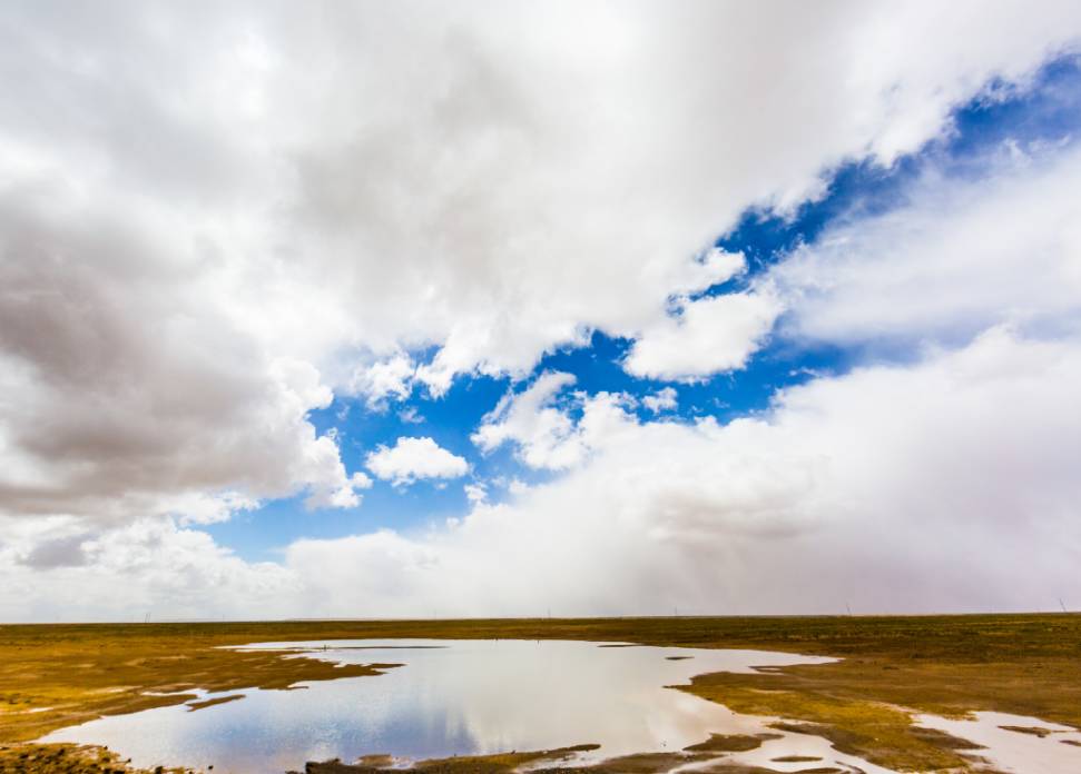 朋友圈现新网红“浮云牧场”四川藏区世界级资源正在起飞