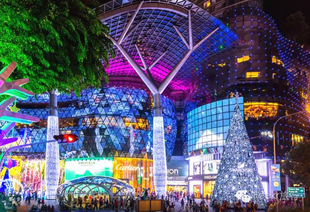 这几个国家太诱惑，直飞、免签、路边就能吃到米其林、国家公园免费一整年，是时候策划一场明年的旅行了！