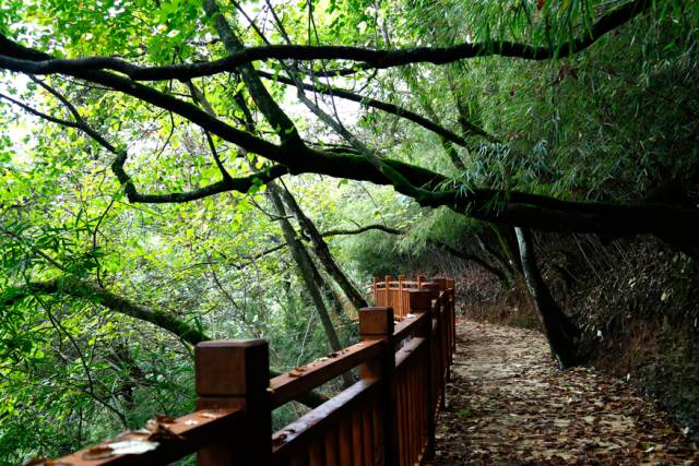 「五龙山水」呼龙台——心愿的倾听者