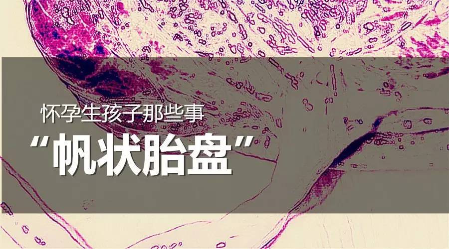 怀孕30周帆状胎盘,怀孕球状胎盘是什么意思