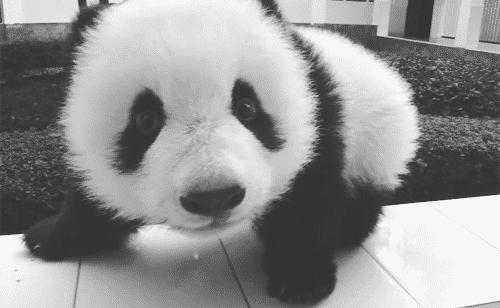 500人分享：买前心疼，买后值得的前10名好东西