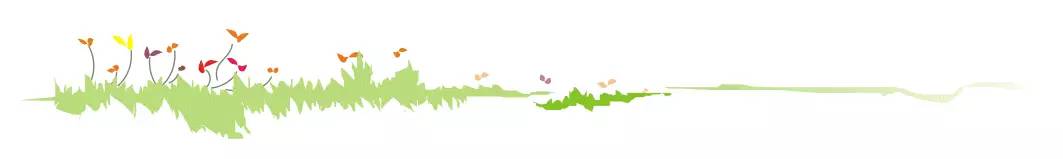 小孩子换牙有什么说法,同岁很多宝宝都换牙了