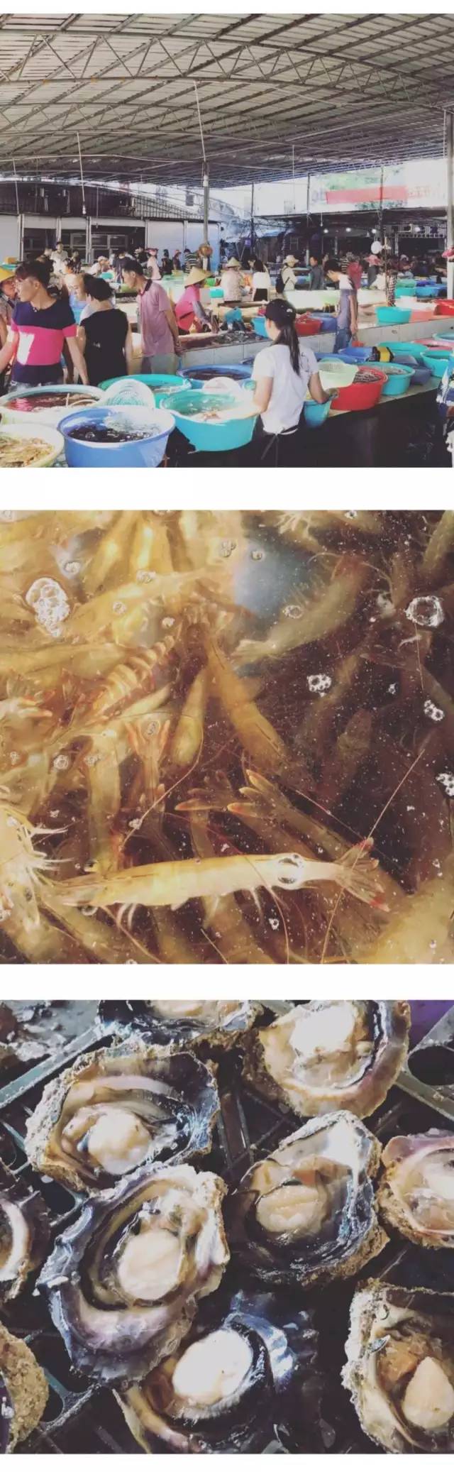 最全攻略实测揭秘不看后悔,攻略超详细