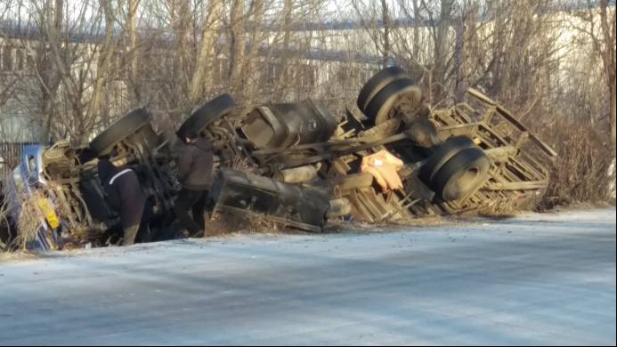 山东猪坚强,猪坚强512