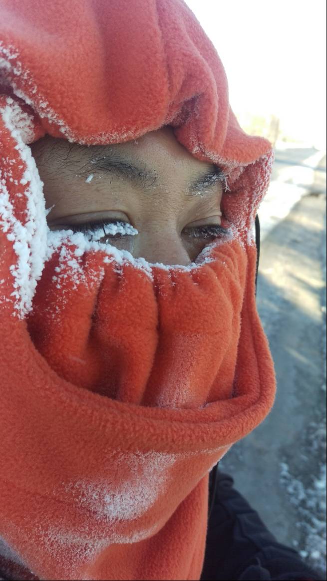 山东猪坚强,猪坚强512