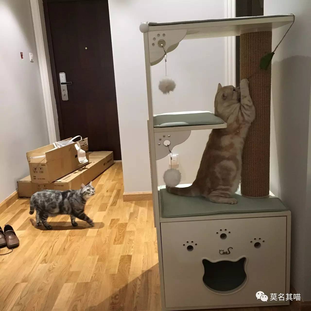 被糊一脸也绝不屈服！菠萝*药嗑**记