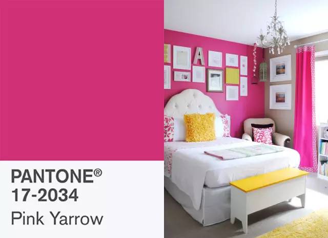 pantone公布2024年度代表色,pantone最新流行色紫外光