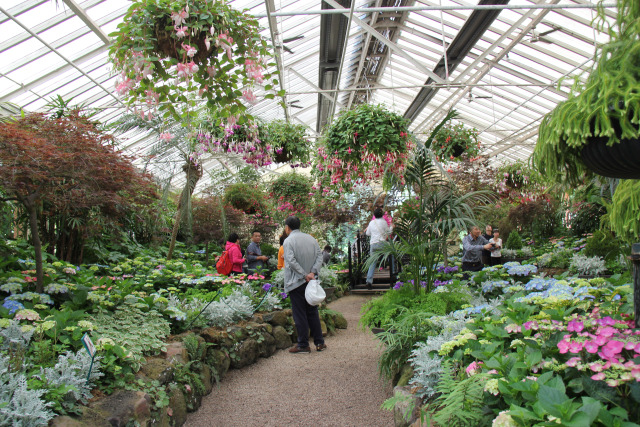 平泉现濒危豹猫咬死百余只鸡、太平庄一路段将断交······12.21承德新闻集萃！