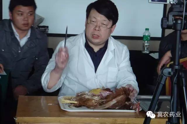 绂界被鐤剧梾涓撳,涓撴不鐤戦毦鏉傜棁鐨勭窘姣涚悆鏁欑粌