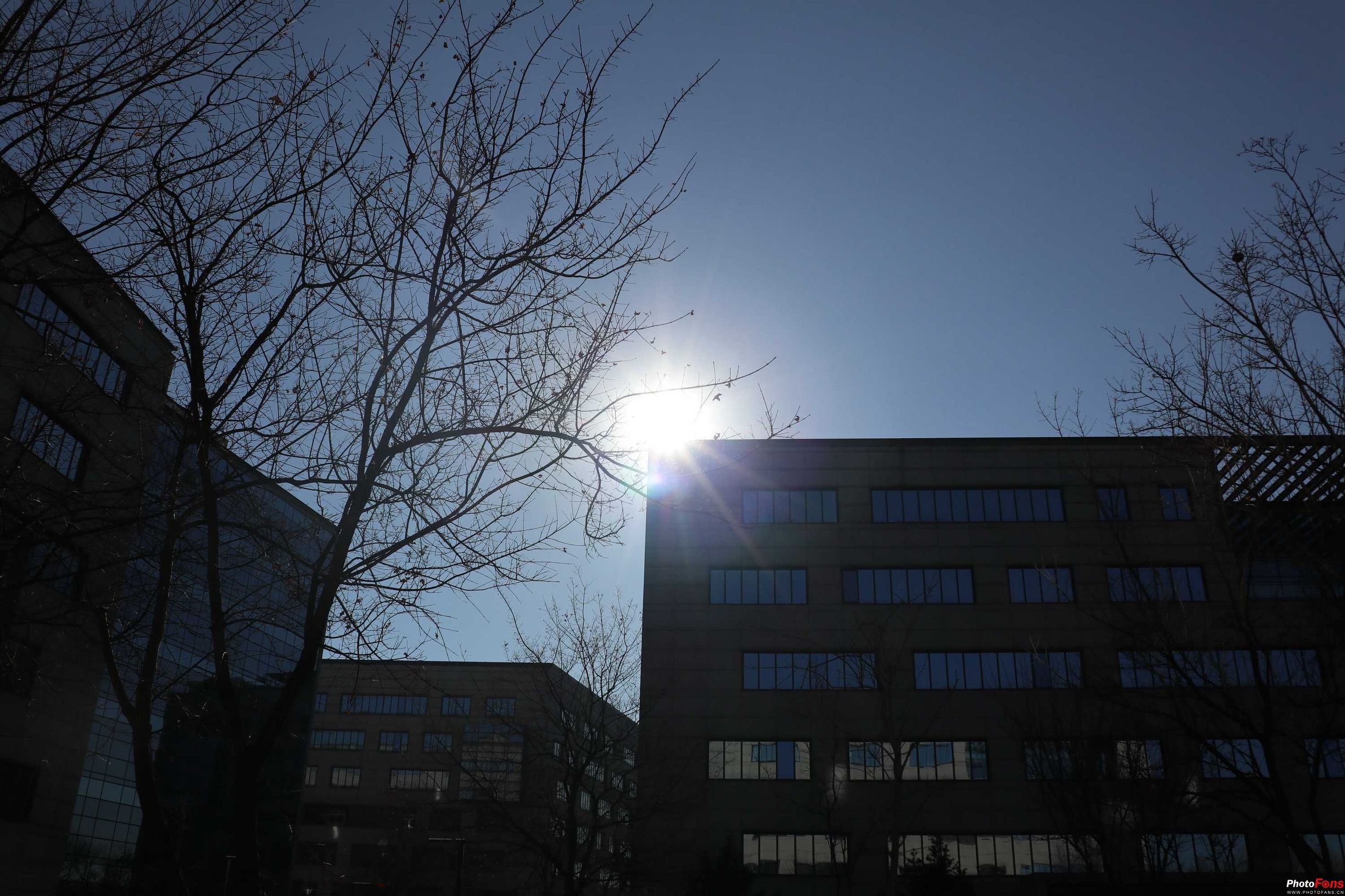 无反大变焦18-150mmf/3.5-6.3镜头评测