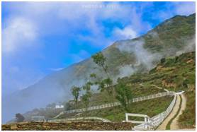 朋友圈现新网红“浮云牧场”四川藏区世界级资源正在起飞