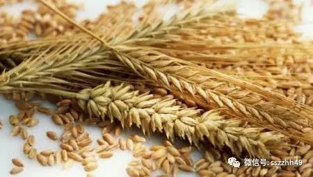 学习营养学怎么入门,营养学入门知识大全