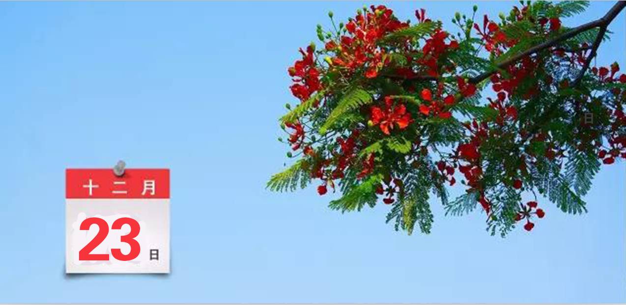 土地使用权到期房子拆迁有补偿吗,产权房子到期后如何处置