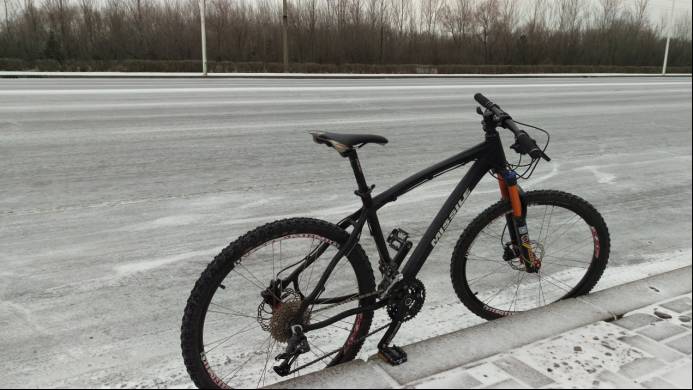 山东猪坚强,猪坚强512