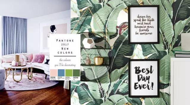 pantone公布2024年度代表色,pantone最新流行色紫外光