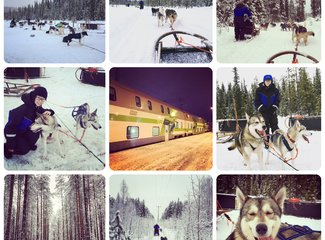 北欧雪中漫步芬兰,北欧四国游丹麦瑞典挪威芬兰