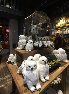 英国旅游攻略伦敦爱丁堡剑桥牛津,伦敦爱丁堡剑桥牛津旅游攻略