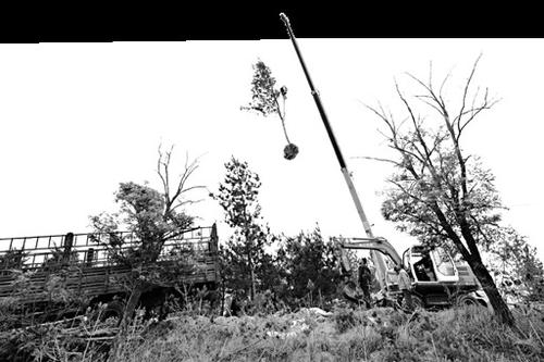 太原市生态修复规划,生态修复筑牢绿色屏障