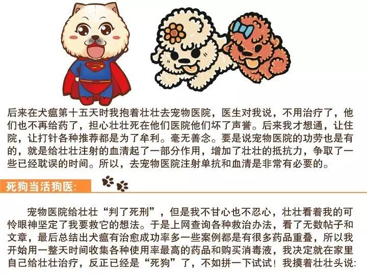 无证的兽医可以看病吗,无证兽医需要承担什么责任