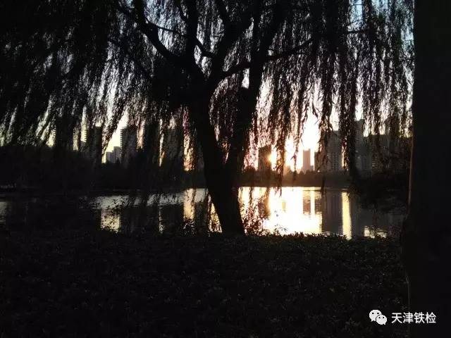 鍜岃皭鑷劧鎽勫奖浣滃搧娆ｈ祻,鍜岃皭鑷劧鎽勫奖浣滃搧