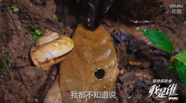 葛天治疗情伤的神秘地点就在这里