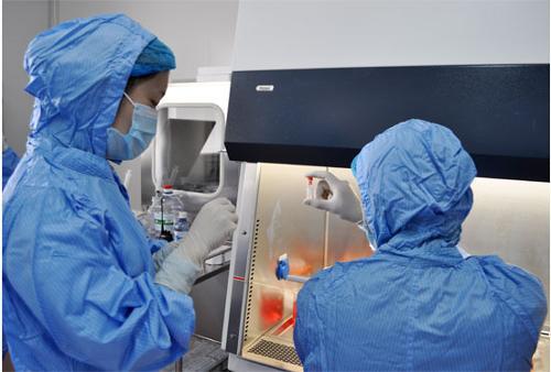 中国治疗癫痫最佳方案,科学如此发达为何癫痫病不好治