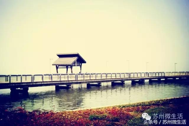 外地人65岁在苏州有什么福利,苏州人春节有什么福利