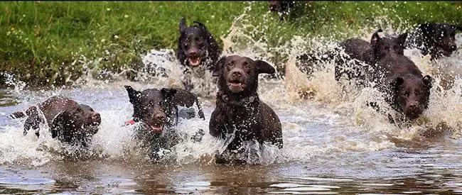 0-3岁必读的绘本,启蒙绘本0-3经典