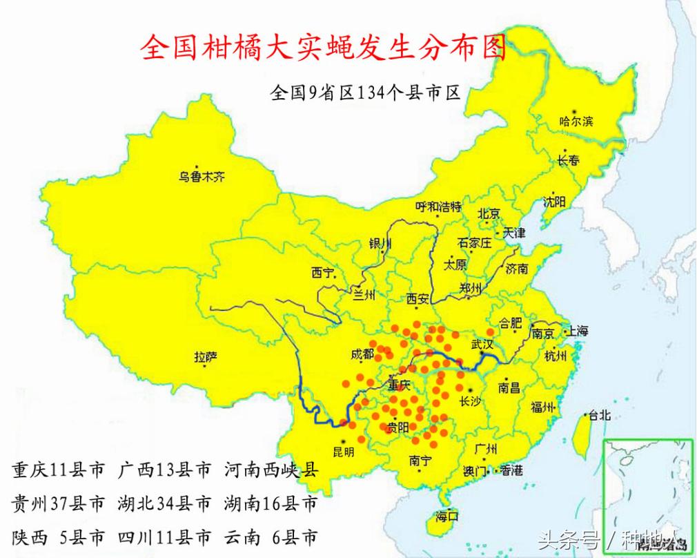 柑橘大实蝇虫害造成的原因,柑橘大实蝇发生规律