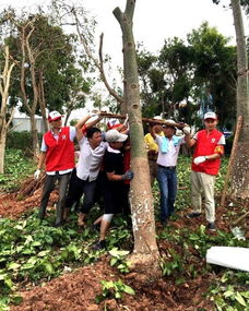 年轻人有必要当北漂吗,北漂一定是去北京吗