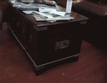 狗狗一牵引就不动怎么办,狗狗一撒手就叫不回来怎么办