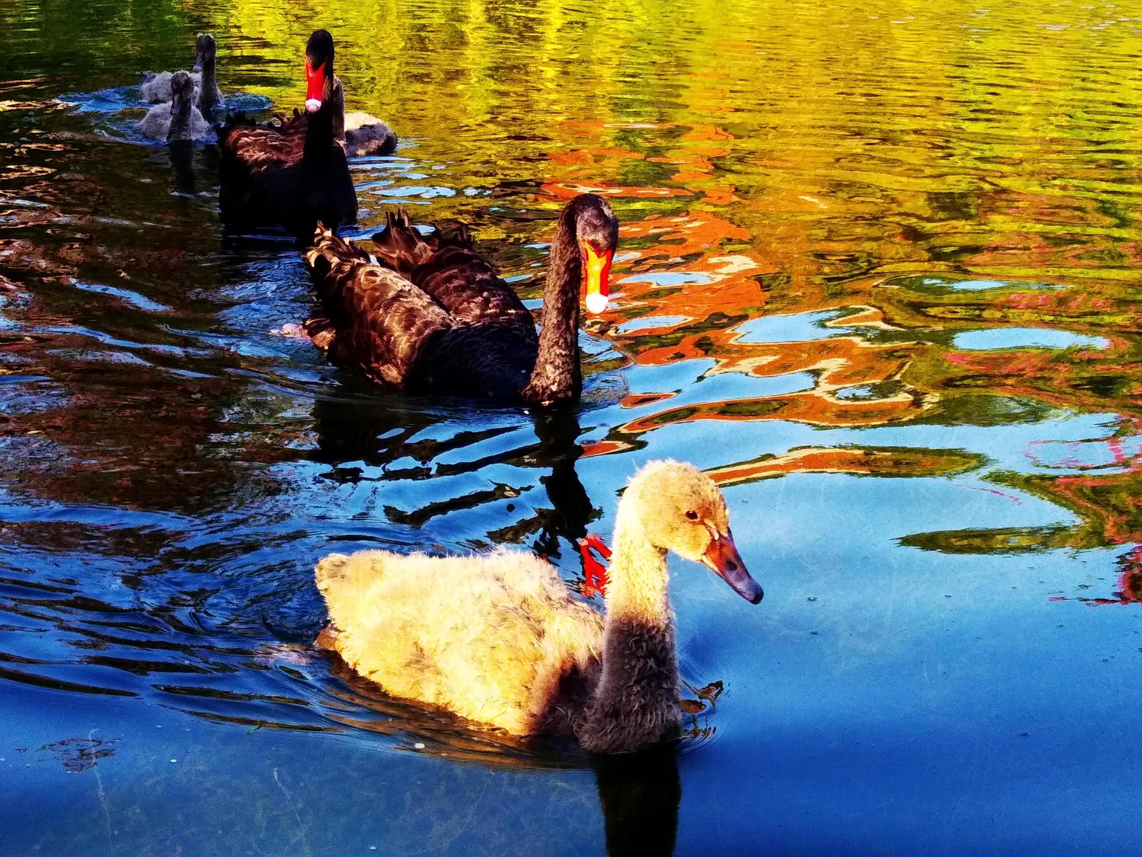 华为畅享6s的像素怎么样,华为畅享6拍照效果怎么样