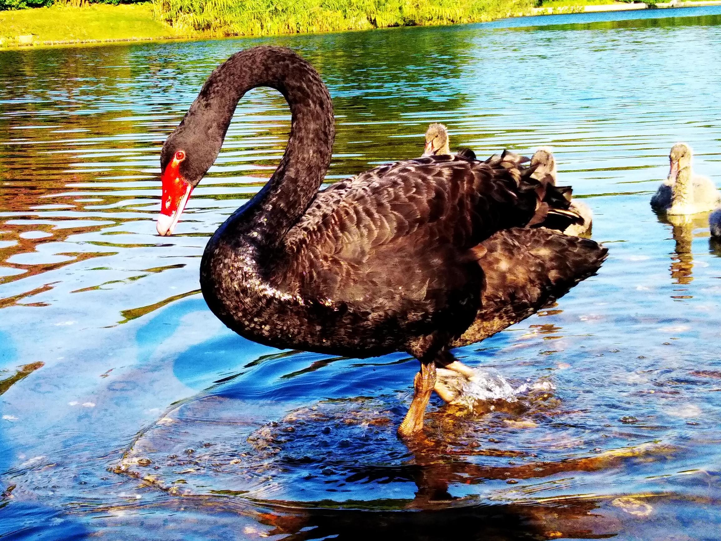 华为畅享6s的像素怎么样,华为畅享6拍照效果怎么样