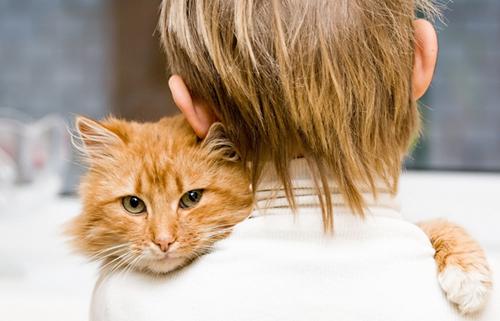 猫咪大便干燥怎么办,猫咪食量减少了怎么回事