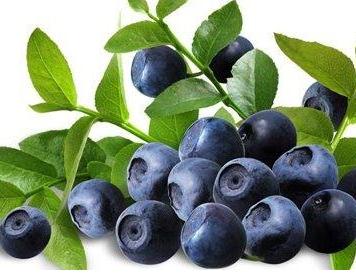 哪个季节治疗白癜风好得快,治疗白癜风的副作用是什么