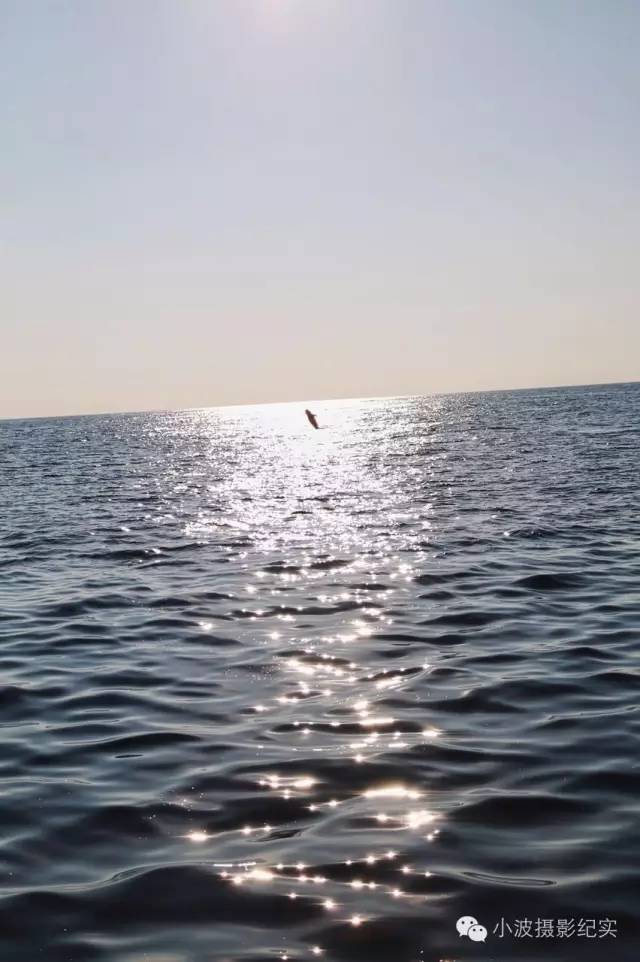 台北游记作品欣赏,台湾游记精选