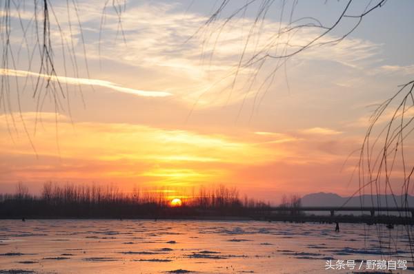 野鹅自驾红井路,野鹅自驾游最新视频