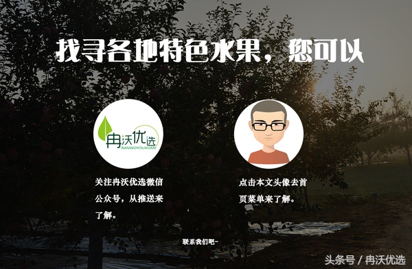 江西南丰蜜桔直发,今年南丰蜜桔价格走向