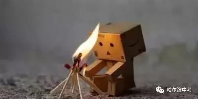 哈尔滨中考化学探究题解题技巧,哈尔滨中考化学必考知识点