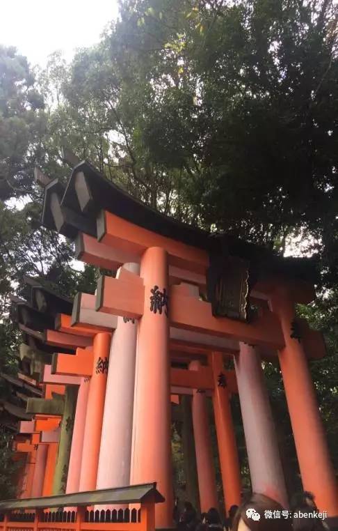 京都大阪名古屋旅游攻略,东京大阪名古屋京都自由行