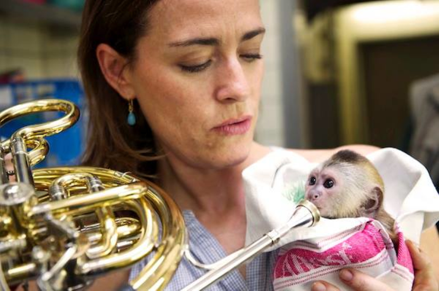 做核磁共振半道跑出来的多吗,做核磁共振途中为什么要推针水