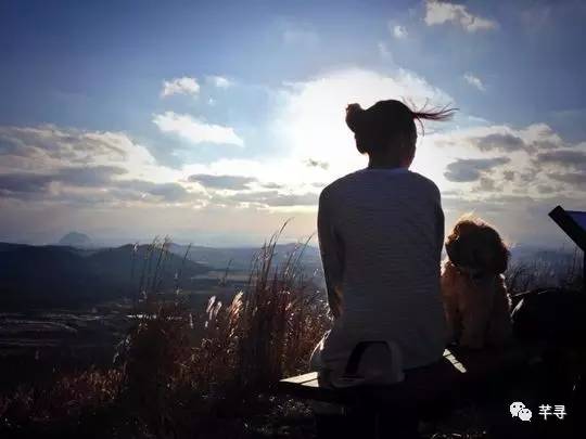 不止免签和免税店，还有各家爱豆，都在喊你去济州岛办婚礼！