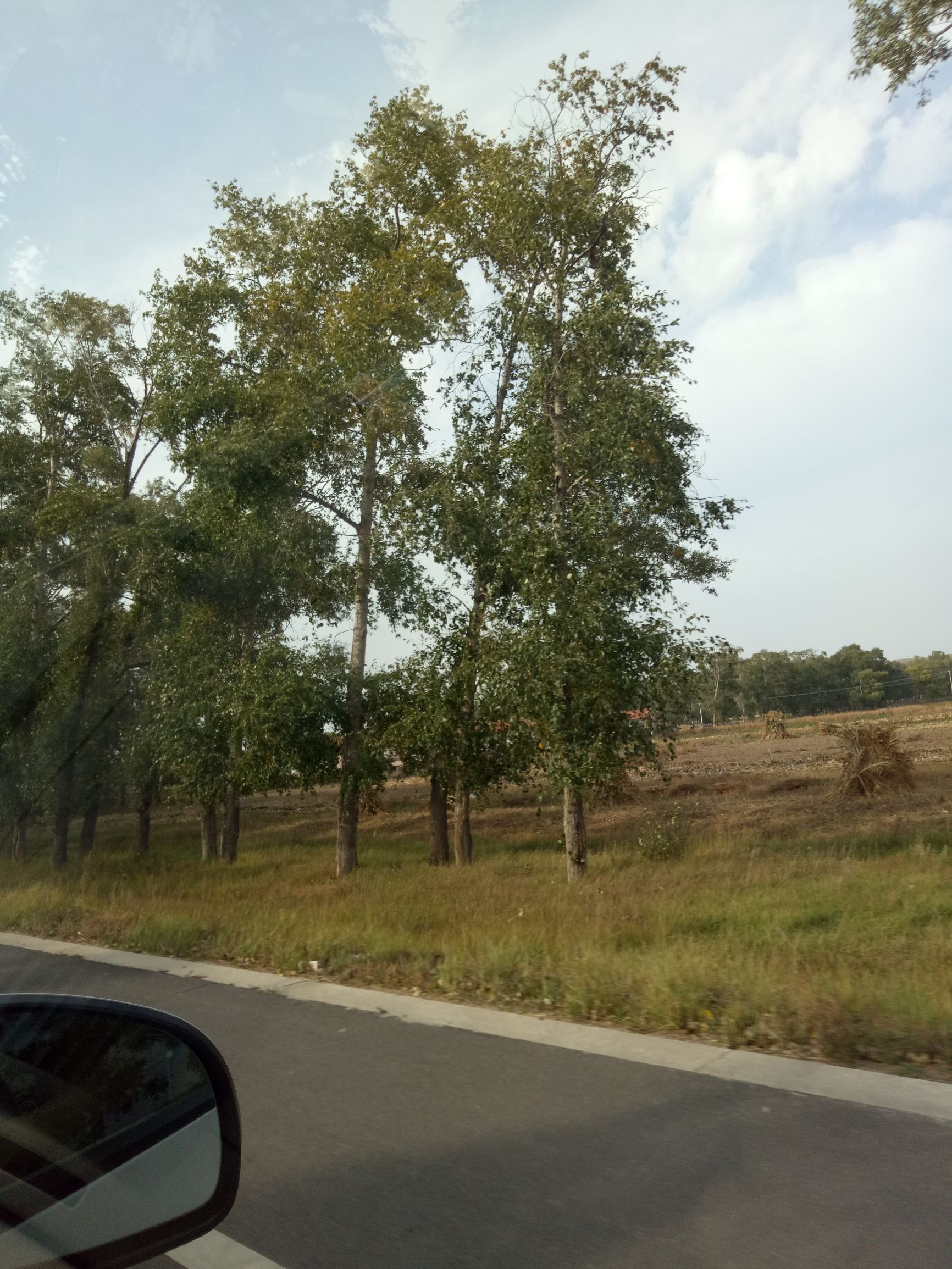 张北的草原天路之旅,张北天路攻略