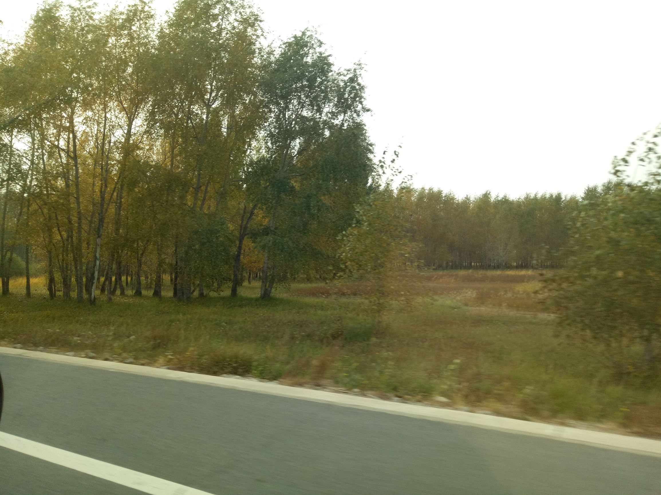 张北的草原天路之旅,张北天路攻略