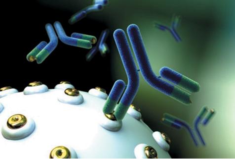 生物免疫治疗癌症,癌症生物治疗和免疫治疗有区别吗