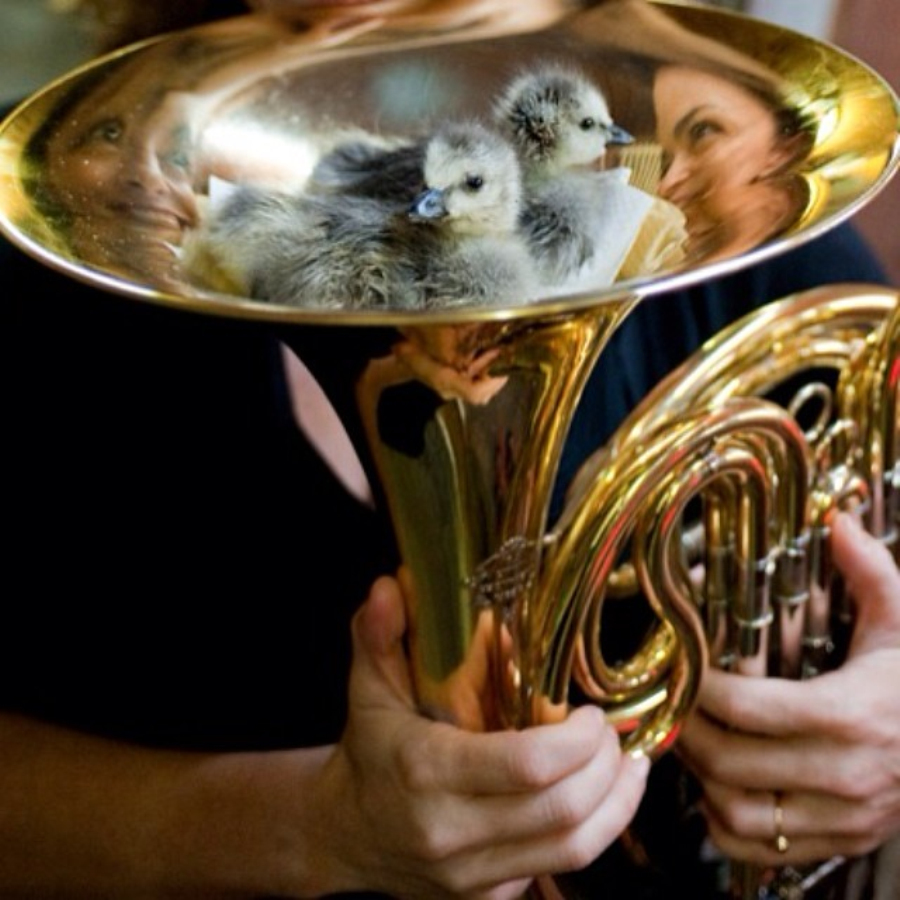 做核磁共振半道跑出来的多吗,做核磁共振途中为什么要推针水