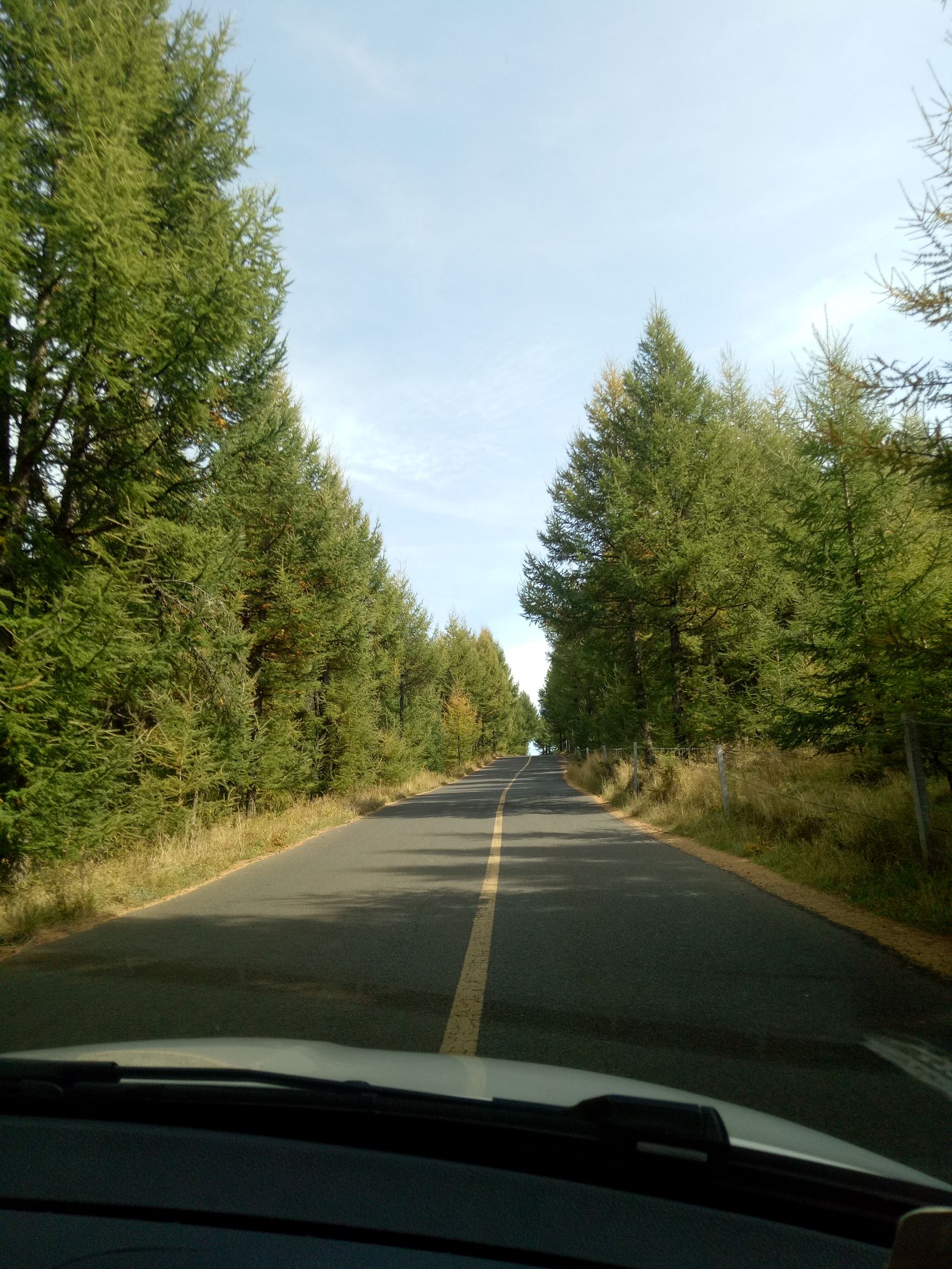 张北的草原天路之旅,张北天路攻略